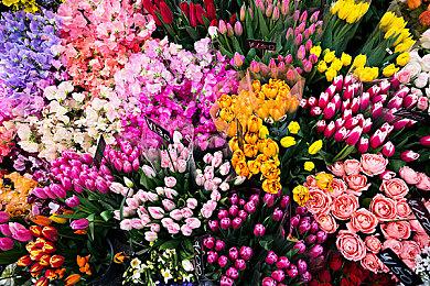 《星球大战：法外狂徒》首发将支持光追＆DLSS3